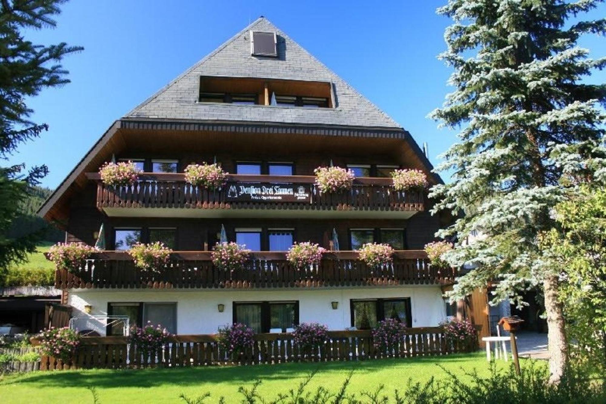 Drei Tannen - Wohnung 04 - Apartmenthaus, Titisee, Nahe Badeparadies Exterior photo